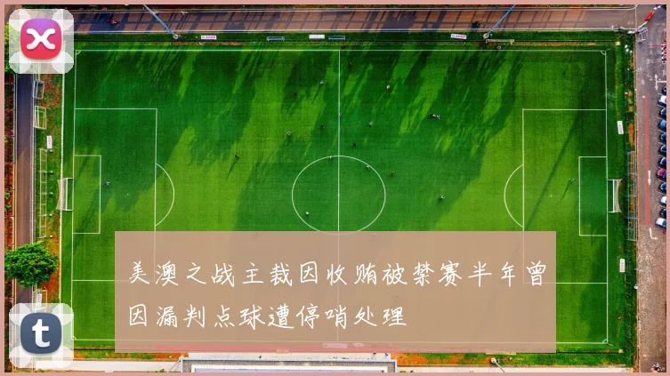 美澳之战主裁因收贿被禁赛半年曾因漏判点球遭停哨处理