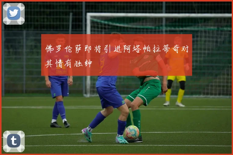 佛罗伦萨即将引进阿塔帕拉蒂奇对其情有独钟