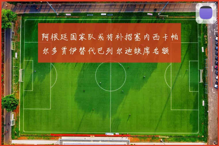阿根廷国家队或将补招塞内西卡帕尔多贾伊替代巴列尔迪缺席名额