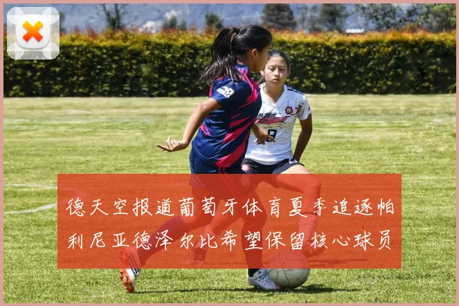 德天空报道葡萄牙体育夏季追逐帕利尼亚德泽尔比希望保留核心球员
